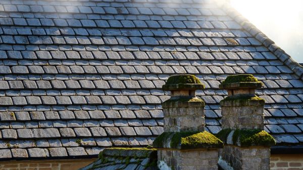 Top 5 astuces pour réussir la rénovation d'étanchéité de toit